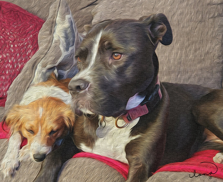 "Forever Friend" & "Best of Friends"