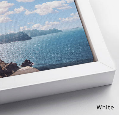 "Deep Roots" Canvas Print